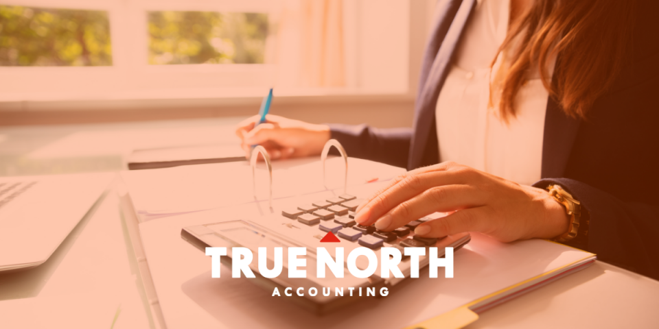 Planification financière pour les propriétaires de petites entreprises grâce à True North Accounting, un partenaire de Virtual Gurus.